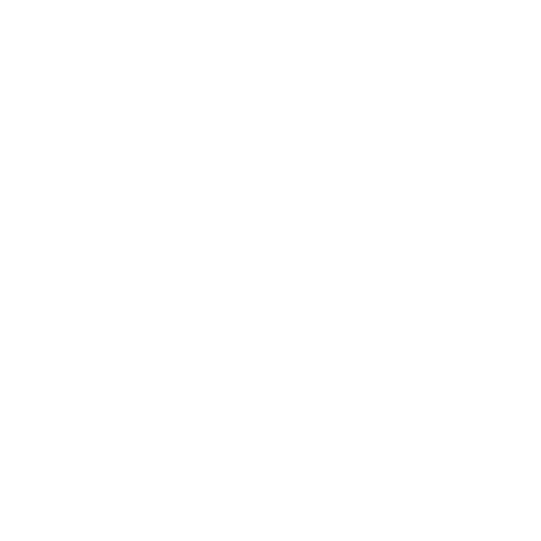 THE LIFESTYLE COLLECTIVE