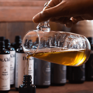 The Lifestyle Collective