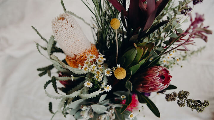 WILDFLOWER