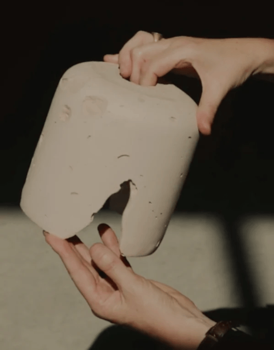 The Lifestyle Collective