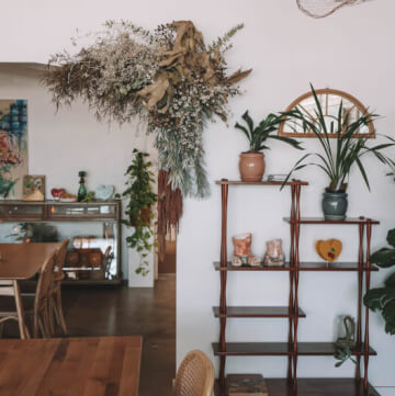 The Lifestyle Collective
